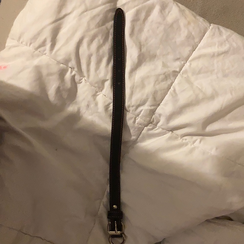 Dog collar